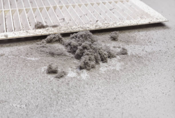 Best Air Vent Cleaning Services  in Oakley, UT